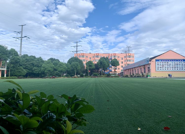 常德海乘职业学校,导游就业方向招生,高铁乘务专业招生,国际邮轮就业方向招生